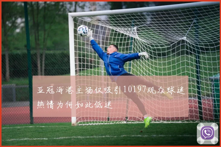 亚冠海港主场仅吸引10197观众球迷热情为何如此低迷