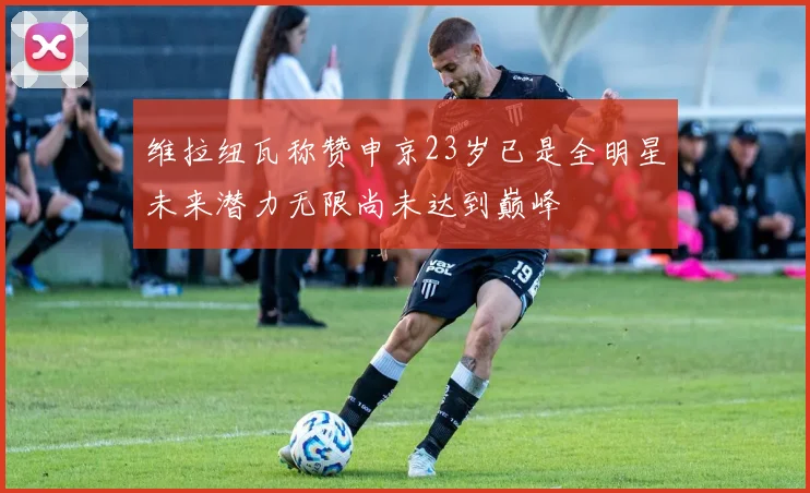 维拉纽瓦称赞申京23岁已是全明星未来潜力无限尚未达到巅峰